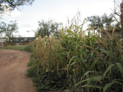 la posada garden